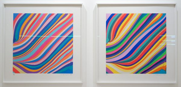Slewe - Ian Davenport