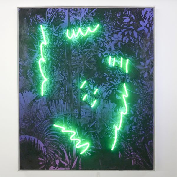 Torch - Thijs Zweers