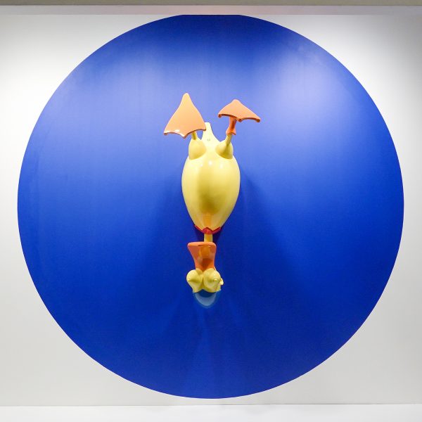 Vallois - Richard Jackson