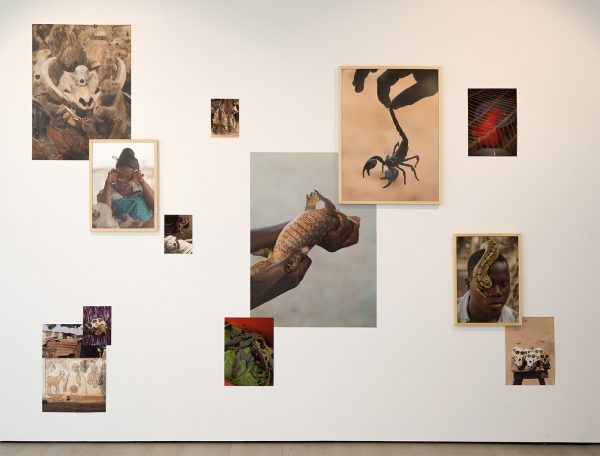 Francesco Merlini - Akodessawa