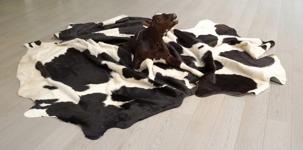 Idiots - No Title, No Status