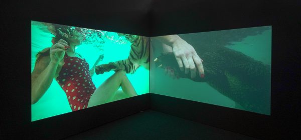 Jessica Segall - (Un)common Intimacy - 7,42minuten, Video