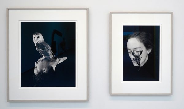 Juul Kraijer - Untitled (various works) - (detail)