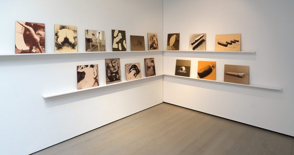 Paul Kooiker - Nude Animal Cigar