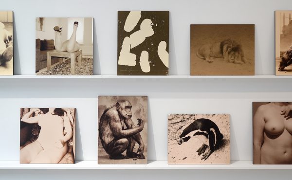 Paul Kooiker - Nude Animal Cigar - (detail)