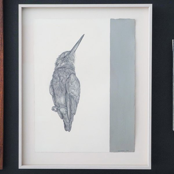 Sabine Liedtke - IJsvogel - 46x37cm, Potlood en acrylverf op papier