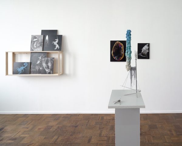 Medecine Breath Overzicht