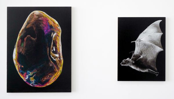 Niek Hendrix - Vanitas - 50,5x38cm & Arrow - 38x29cm Olieverf op paneel