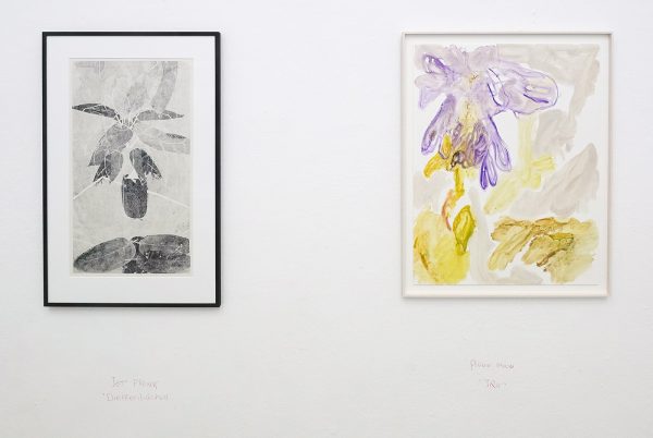 Jet Pronk - Dieffenbachia & Pleun Moons - Iris