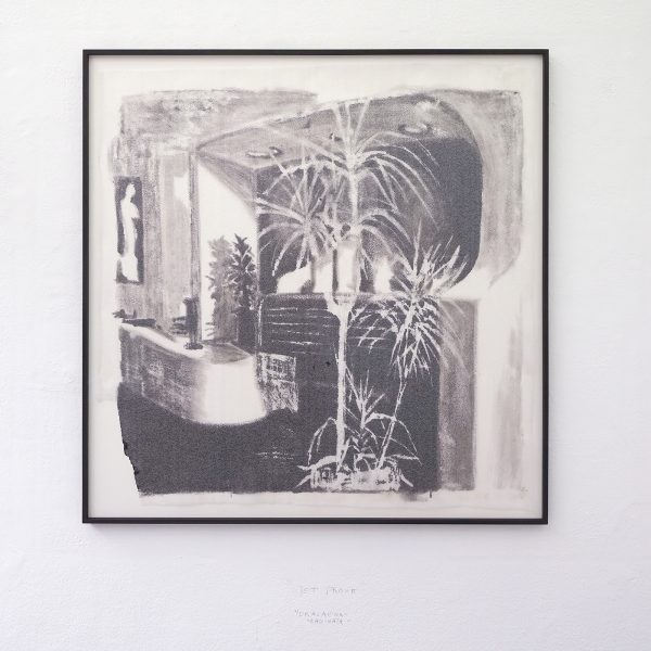 Jet Pronk - Dracaena-Maginata