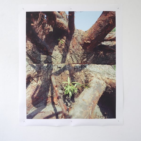 Koen Kieviets - Your Position