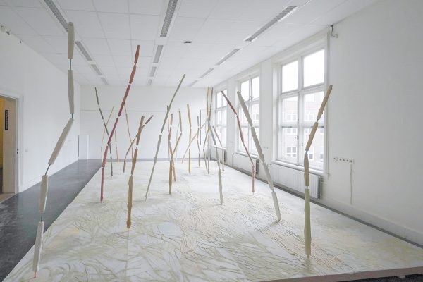 Merel Nicola van Bochove