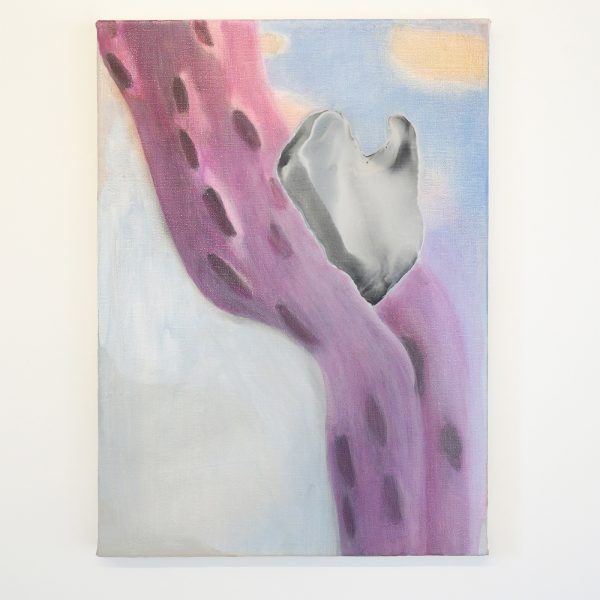 Rezi van Lankveld - Feed - 58x42cm Olieverf op canvas