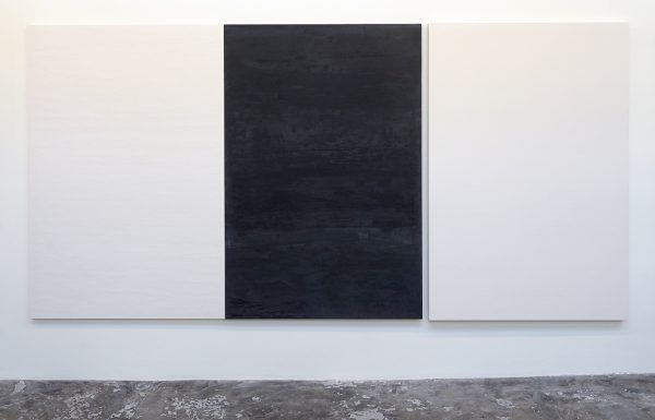 Willy de Sauter - Zonder Titel (drieluik) - 180x365x5cm maal drie Pigment en krijt op hout