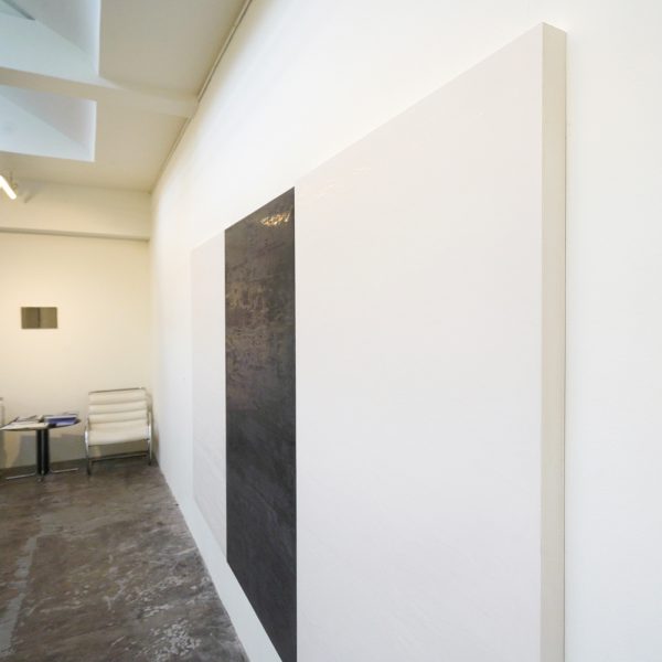 Willy de Sauter - Zonder Titel (drieluik) - 180x365x5cm maal drie Pigment en krijt op hout (detail)