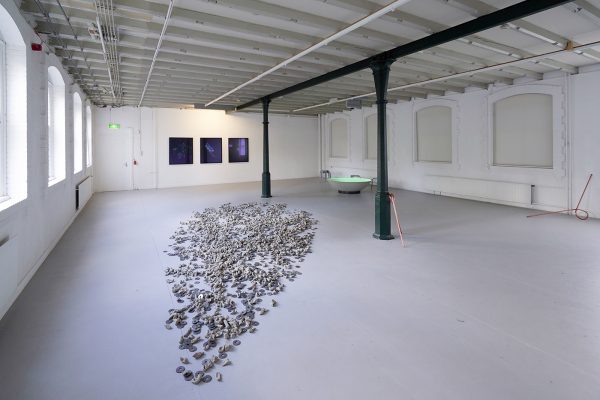 Marjolijn Dijkman Overzicht