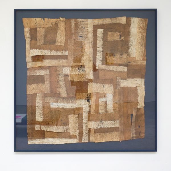 Paul Beumer - A Tree, Antiaris, the sap of which is very poisonous - 98x88cm Gebleekt en genaaide boombast in lijst