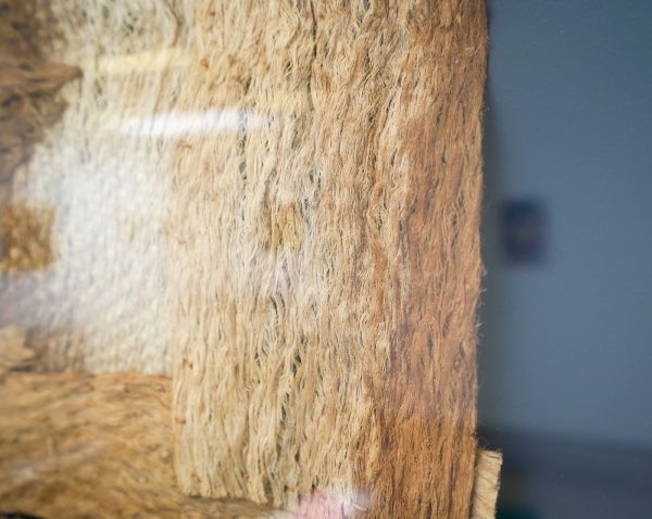 Paul Beumer - A Tree, Antiaris, the sap of which is very poisonous - 98x88cm Gebleekt en genaaide boombast in lijst (detail)