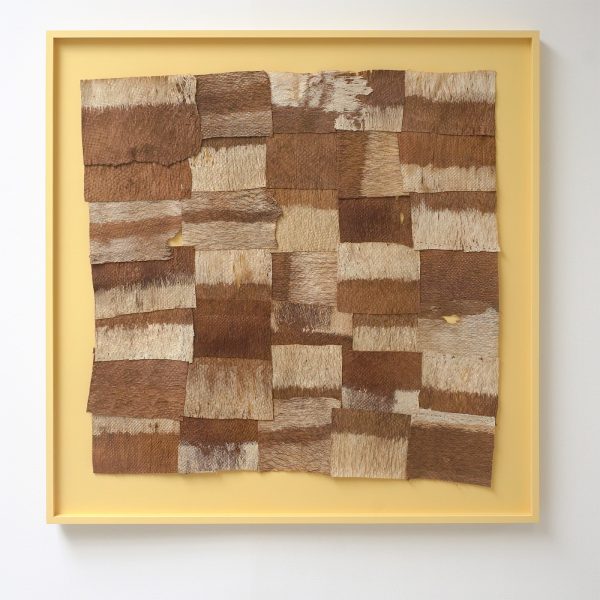 Paul Beumer - A jungle tree with fruit - 106x106cm Gebleekt en genaaide boombast in lijst