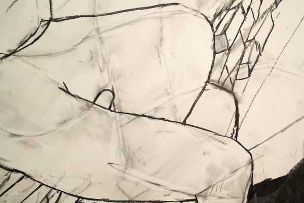 Roland Sohier - I Feel the Earth Move - Houtskool en pastel op papier (detail)