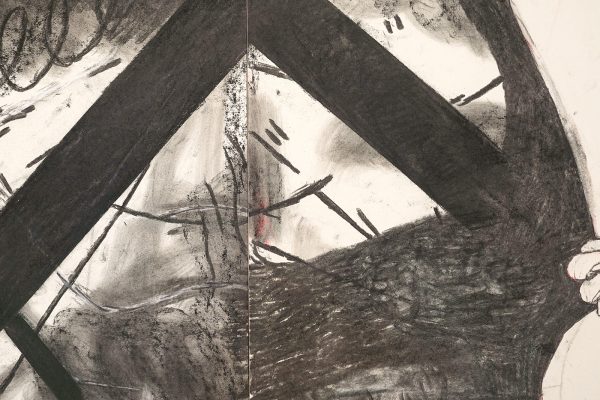 Roland Sohier - Look Back in Anger - Houtskool en pastel op papier (detail)