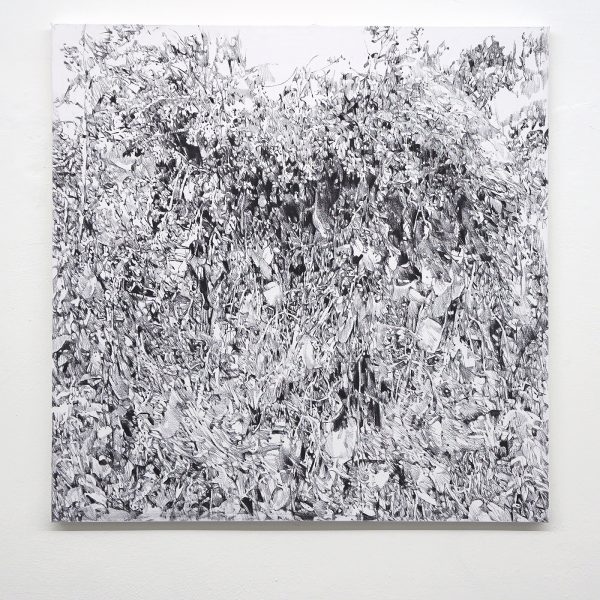 Anouk Griffioen - Le Petit Foret - 100x100cm Houtskool op linnen