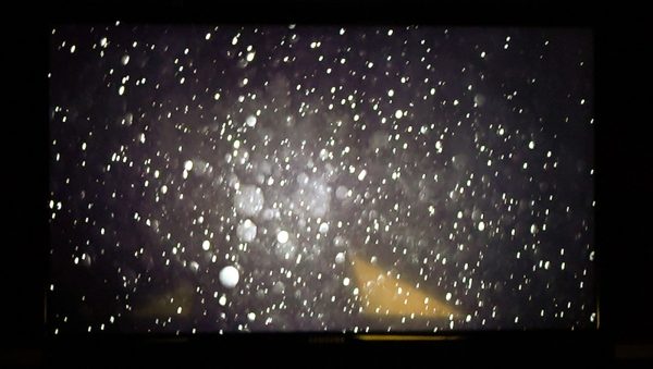 Desiree Dolron - I will show you fear in a handful of dust II - 9,49minuten HD videoloop