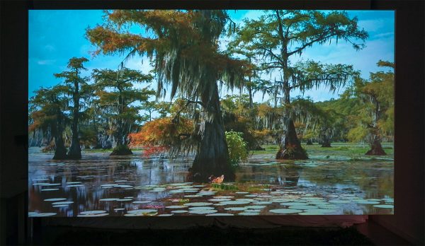 Desiree Dolron - Uncertain TX - 3,57minuten, HD videoloop