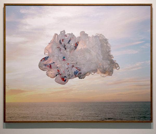 Elspeth Diederix - Cloud - C-print