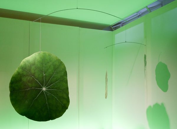 Elspeth Diederix - Tropoalum Mobile - Fotografie op mobile