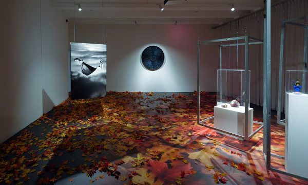 Foward & Upward Overzicht