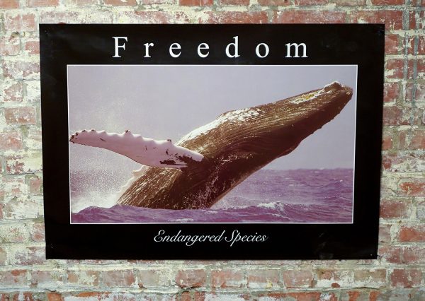 Joep van Liefland - TeleHell VP#47 Boy Born Without a Mother - Mixed media