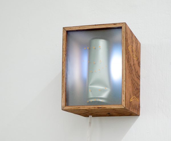 Lennart de Neef - OOPART 031 - 18x15x11cm Hout, glas, vinyl en LEDobject