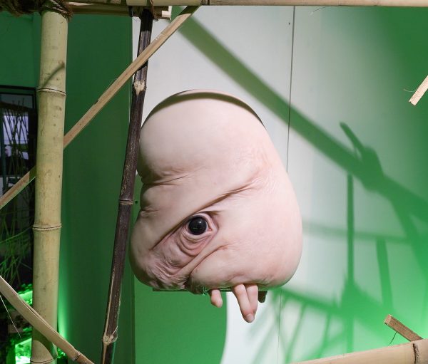 Magriet van Breevoort - Bob - 40x30x30cm, Siliconen, hars en glas