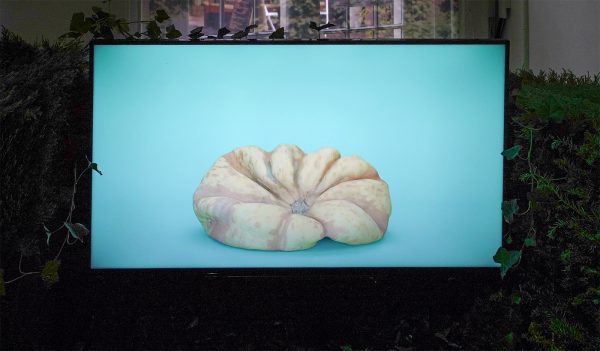 Mike Pelleteier - Nature Morte - 4,07minuten, Animatie