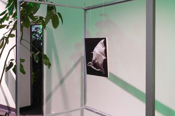 Niek Hendrix - Arrow - 29x38cm Olieverf en potlood op paneel