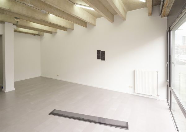 Rebecca Niculae Overzicht