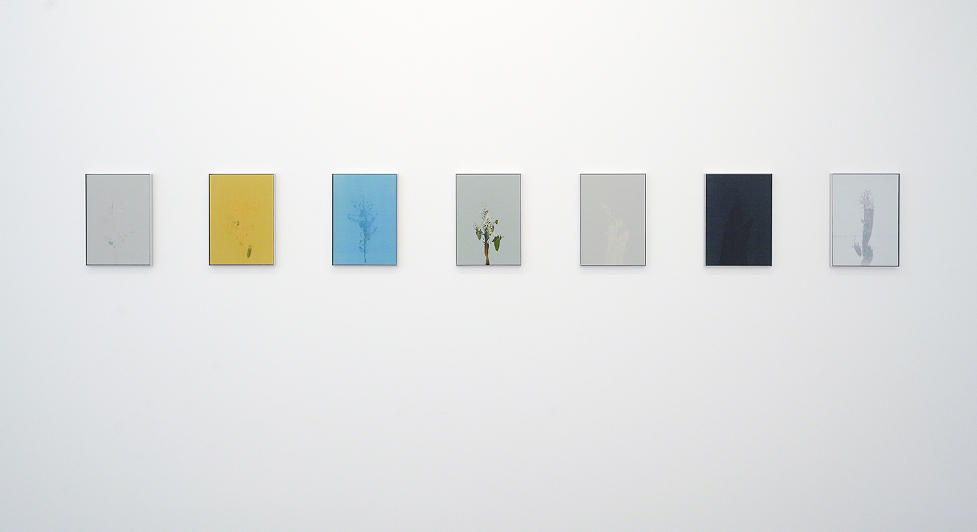 Hopstreet Gallery - Johan de Wilde