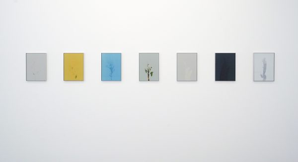 Johan de Wilde - History 367,279, 294, 313, 317, 329 & 333 Requim, The Long Goodbye - 30x21cm, Acrylverf en vernis op karton