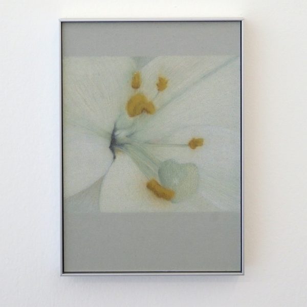 Johan de Wilde - History 399, Indoor Impressoinismus, Umwertung - 15x11cm, Kleurpotlood op karton