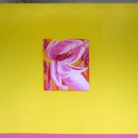 De eindexamenexposities in Breda zijn nooit de meest spannende. De onderlingen verschillen tussen de lichtingen zijn groot en het niveau is daarmee ook behoorlijk grillig. Soms zijn het steengoede presentaties [&hellip;]