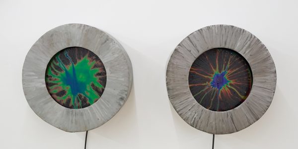 Fred & Ferry - Zoro Feigl