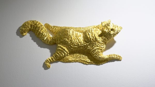 Roosje van Donselaar