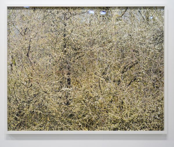 Albeda Jelgersma Gallery - Misha de Ridder