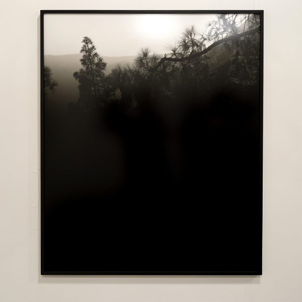 Annet Gelink Gallery - Awoiska van der Molen