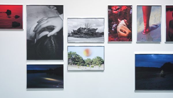 Hangar - Alice Pallot