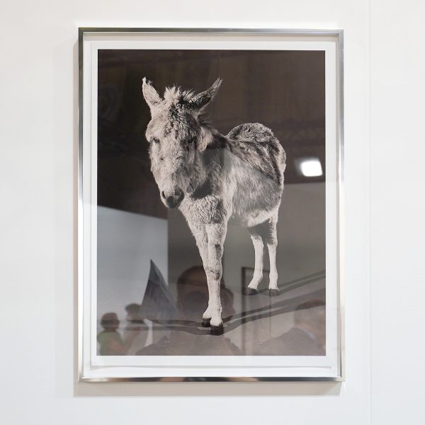 Tegenboschvanvreden - Paul Kooiker