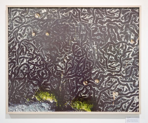 Zerp Galerie - Wout Berger