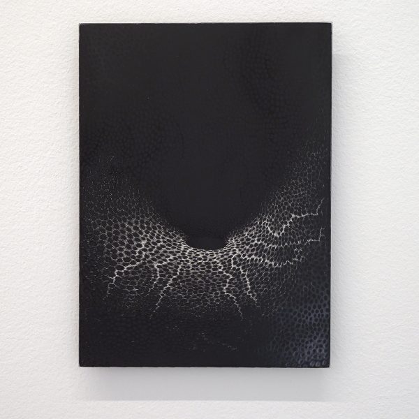 Annemarie Slobbe - - 18x13cm Scratchboard