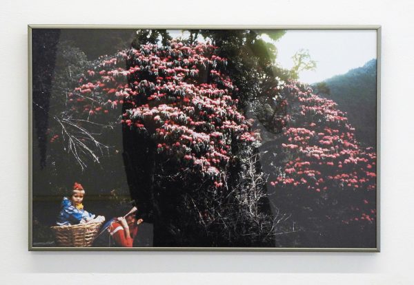 Daan van Golden - Nepal - 42x30cm, Kleurenfoto